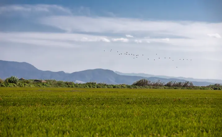 Vistas del horizonte desde la Albufera, Valencia