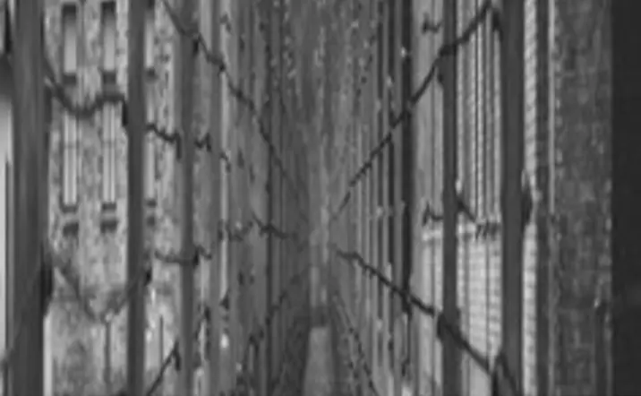 Campo de concentración de Auschwitz