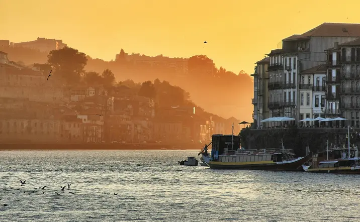 Tour privado por el centro de Oporto - buendía