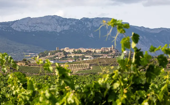 Excursión a Vitoria y La Rioja: Logroño y bodega en Laguardia desde Bilbao