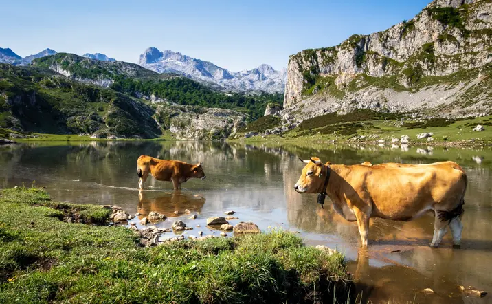 Excursión en 4x4 por los Picos de Europa desde Cangas de Onís