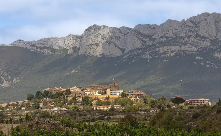 Excursión a Vitoria y La Rioja: Logroño y bodega en Laguardia desde Vitoria 