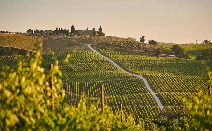 Excursión en tren a la Toscana con almuerzo y cata de vino desde Roma - buendía