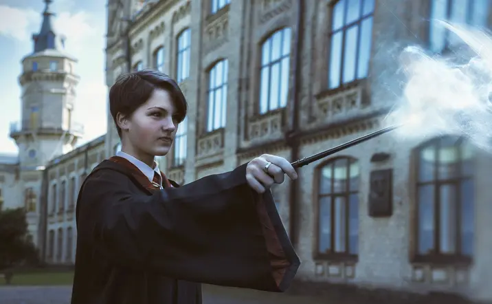 Tour de Harry Potter y crucero por el Támesis - buendía