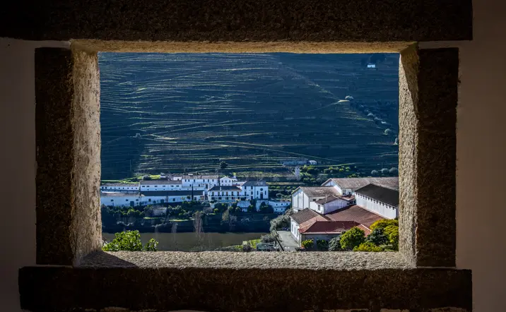 Excursión por el Valle del Duero con cata de vinos, crucero por el río y visita a Lamego desde Oporto - buendía