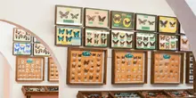 Actividades gastronómicas