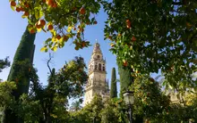 Tours a pie y visitas guiadas