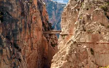 Free tours