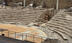 Tours a pie y visitas guiadas